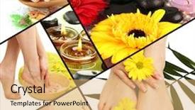  Presentation with maintenance - Presentation design having closeup group of chestnuts background and a tawny brown colored foreground