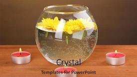  Presentation with chrysanthemum - Theme consisting of spa composition of bright candles and yellow chrysanthemum floating on wooden background background and a red colored foreground