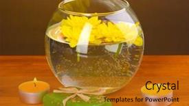  Presentation with chrysanthemum - Audience pleasing slides consisting of spa composition of bright candles and piece of soap and yellow chrysanthemum floating on wooden background backdrop and a gold colored foreground