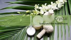  Presentation with palm oil - Amazing slides having spa-composition-of-orchid-candle backdrop and a seafoam green colored foreground