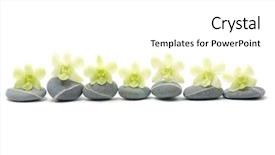  Presentation with maintenance - PPT layouts having spa composition of stones background and a  colored foreground