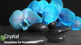  Presentation with blue spa - Beautiful slide deck featuring spa composition with blue orchid backdrop and a  colored foreground