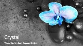  Presentation with blue spa - Slide set with spa composition with blue orchid background and a gray colored foreground
