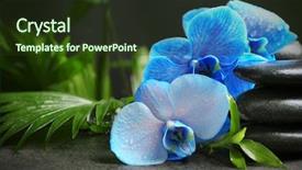  Presentation with blue spa - Beautiful PPT theme featuring spa composition with blue orchid backdrop and a tawny brown colored foreground