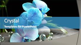  Presentation with blue spa - PPT theme with spa composition with blue orchid background and a teal colored foreground