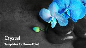  Presentation with blue spa - Audience pleasing PPT theme consisting of spa composition with blue orchid backdrop and a dark gray colored foreground