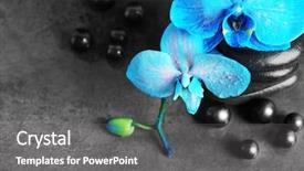  Presentation with blue spa - PPT theme having spa composition with blue orchid background and a  colored foreground