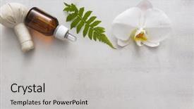  Presentation with fern - Beautiful theme featuring spa composition with green fern backdrop and a light gray colored foreground