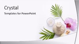  Presentation with palm oil - Amazing presentation theme having spa composition with orchid flowers backdrop and a pink colored foreground