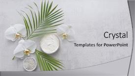  Presentation with orchid - Audience pleasing PPT theme consisting of spa composition with orchid flowers backdrop and a light gray colored foreground