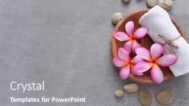  Presentation with frangipani flowers - Beautiful presentation theme featuring spa-composition-with-pink-frangipani backdrop and a gray colored foreground