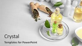  Presentation with palm oil seeds of tree - Beautiful slides featuring spa composition with tea tree backdrop and a light gray colored foreground