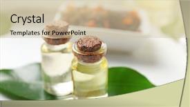  Presentation with oil palm tree - Presentation theme with spa composition with tea tree background and a soft green colored foreground