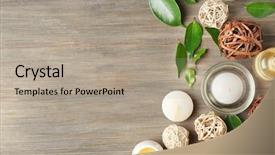  Presentation with palm oil seeds of tree - PPT layouts consisting of spa composition with tea tree background and a mint green colored foreground