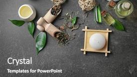  Presentation with palm oil seeds of tree - Cool new theme with spa composition with tea tree backdrop and a dark gray colored foreground