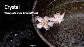  Presentation with sports table tennis two ping - Slide set consisting of mindfulness - mindful blonde cute female hipster background and a tawny brown colored foreground