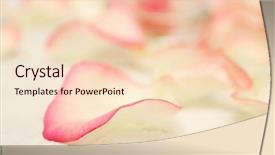  Presentation with spa concept - Presentation theme with spa concept flower petals background and a lemonade colored foreground