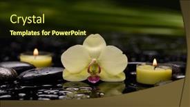  Presentation with spa stones leaves - Presentation theme with spa-concept-of-white-orchid background and a wine colored foreground
