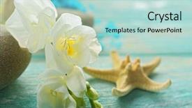  Presentation with spa concept - Amazing PPT theme having spa concept pebble and exotic backdrop and a mint green colored foreground