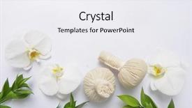  Presentation with chemistry leaves green leaf - Amazing theme having spa concept with green leaves backdrop and a  colored foreground