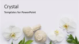  Presentation with spa concept - Theme having spa concept with green leaves background and a  colored foreground