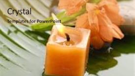  Presentation with spa concept - Beautiful PPT theme featuring spa concept with orchid flower and flower wet banana leaf backdrop and a yellow colored foreground