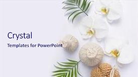  Presentation with herbal - Colorful presentation theme enhanced with spa concept with two orchid backdrop and a sky blue colored foreground