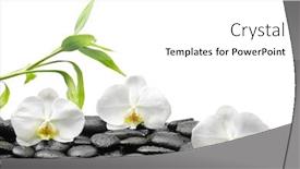  Presentation with spa stones leaves - Audience pleasing slide set consisting of spa-concept-with-wet-zen backdrop and a white colored foreground