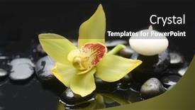  Presentation with zen - Audience pleasing presentation theme consisting of spa-concept-with-zen-basalt backdrop and a black colored foreground