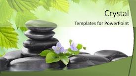  Presentation with spa concept - Colorful theme enhanced with spa concept with zen stones backdrop and a soft green colored foreground