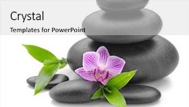  Presentation with spa concept stone - Audience pleasing PPT theme consisting of spa concept with zen stones backdrop and a light gray colored foreground