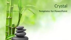  Presentation with spa concept - PPT layouts featuring spa concept zen basalt stones background and a mint green colored foreground