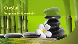  Presentation with spa concept stone - Cool new presentation design with spa concept zen basalt stones backdrop and a tawny brown colored foreground