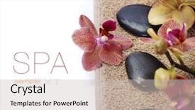  Presentation with zen stones - Amazing PPT layouts having spa concept zen stones orchid flower and towel over white with easy removable sample text backdrop and a soft green colored foreground