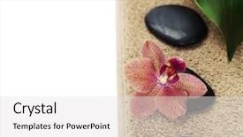  Presentation with zen stones - Slide set consisting of spa concept zen stones orchid flower and towel over white background and a light gray colored foreground