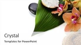  Presentation with spa concept - PPT layouts featuring spa concept zen stones sea salt orchid flower and towel over white background and a white colored foreground