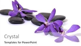  Presentation with spa concept - Cool new theme with spa concept backdrop and a white colored foreground