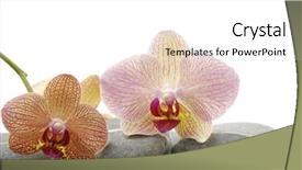  Presentation with pyramid - Cool new presentation design with spa essentials pyramid of stones backdrop and a  colored foreground