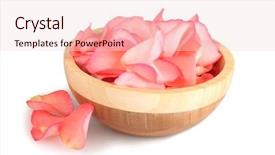  Presentation with pink rose petals - Colorful PPT layouts enhanced with spa event - beautiful pink rose petals backdrop and a lemonade colored foreground