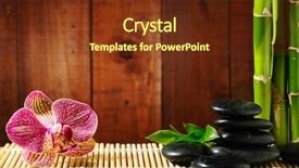  Presentation with frame pink - Presentation theme with spa frame from bamboo grove background and a tawny brown colored foreground