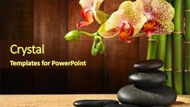  Presentation with bamboo - Slide deck featuring spa frame from bamboo grove background and a wine colored foreground