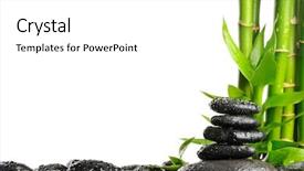  Presentation with spa - Colorful PPT theme enhanced with spa frame backdrop and a white colored foreground