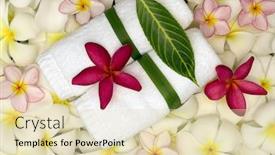  Presentation with spa - Beautiful slides featuring spa-objecs-with-flowers-towels backdrop and a soft green colored foreground