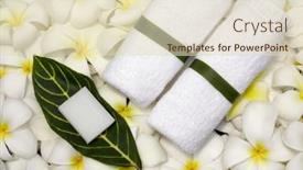  Presentation with spa - PPT layouts with spa-objecs-with-flowers-towels background and a soft green colored foreground