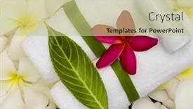  Presentation with spa - Amazing slides having spa-objecs-with-flowers-towels backdrop and a mint green colored foreground
