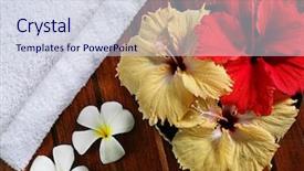  Presentation with spa - Slides with spa-objects-flowers-towel background and a sky blue colored foreground