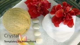  Presentation with tropical flowers - 