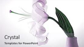  Presentation with lily lotus flower water - Beautiful PPT layouts featuring spa purple colour - beautiful violet lily flower backdrop and a white colored foreground