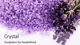  Presentation with lavender flowers - Cool new presentation theme with spa purple colour - pile of lavender bath salt backdrop and a sky blue colored foreground