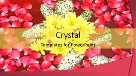  Presentation with relaxation - Presentation theme with spa relaxation flowers aroma therapy as abstract background and a yellow colored foreground